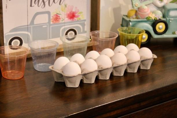 eggs in a science lab